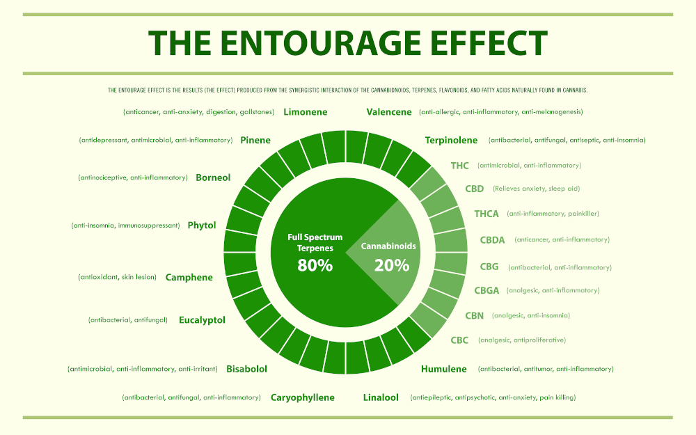 Cannabis Entourage Effect