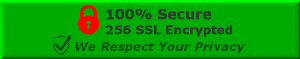 256 SSL Encrypted