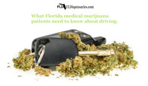 What Florida medical marijuana patients need to know about driving