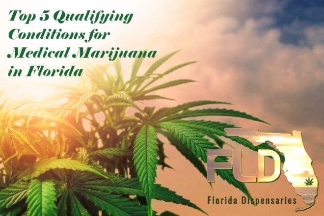 Florida top 5 medical conditions