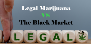Will The Legal Marijuana Market Size Up to Black Market?