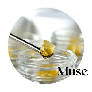 Concentrate Live Diamonds by Muse