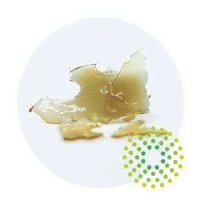 Trulieve Concentrate Shatter