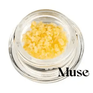Concentrate Suga by Muse