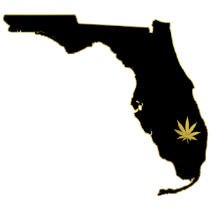 Florida Dispensaries Solo Black