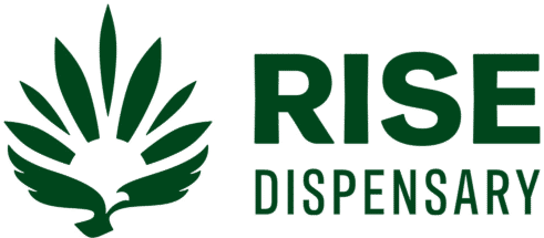 rise logo banner 1