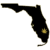 Florida Dispensaries Black